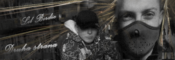 2prg36x.png
